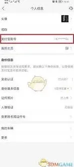 支付宝手机号吗