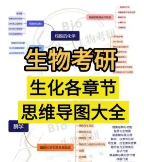 原料