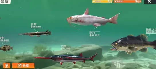 欢乐钓鱼大师欢乐钓鱼
