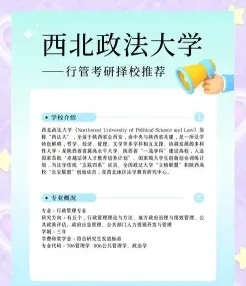 报名信息