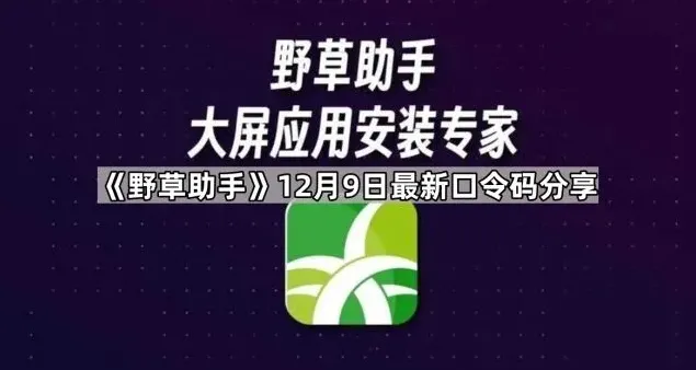 《TA》12月9日最新口令码分享指南详解