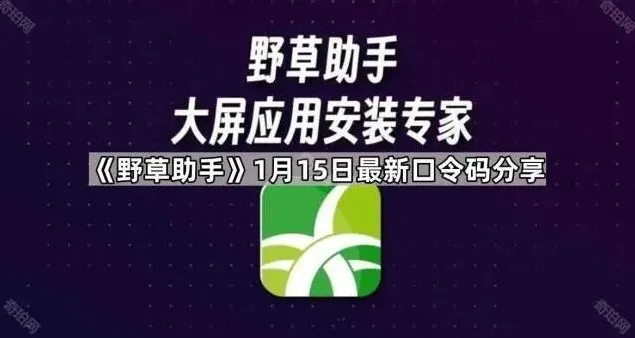 《TA》最新口令码使用完整教程
