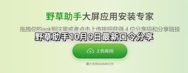 《野草助手》10月9日口令分享方法