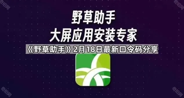 《TA》最新口令码分享方法教程
