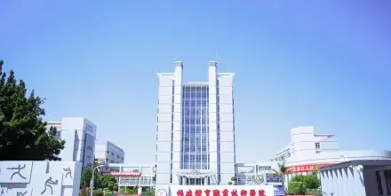体育