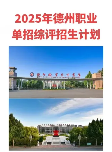 专业