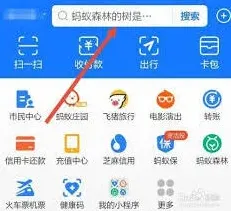 支付宝如何查看