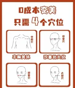 分校