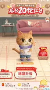 淘宝指南