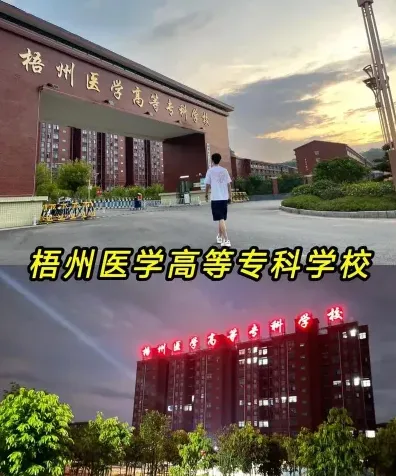 学校
