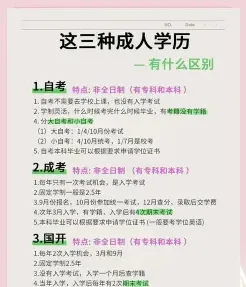 成人高等教育