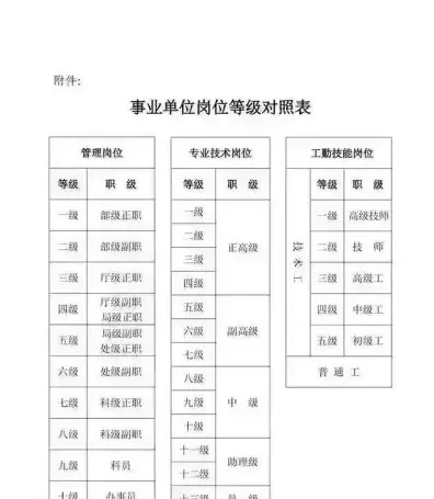 正高级
