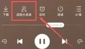 《番茄畅听》切换声音最全教程
