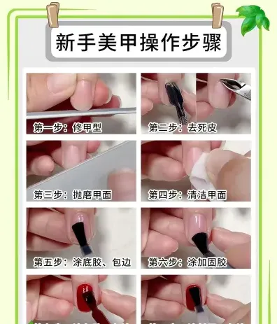 指导