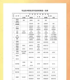 专业技术职称