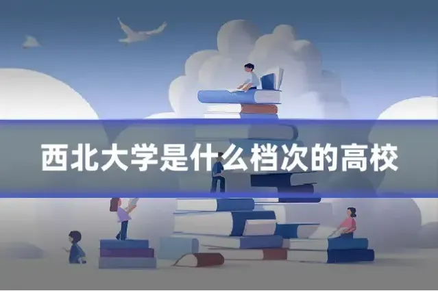 西北大学是什么档次的高校