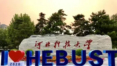 学校