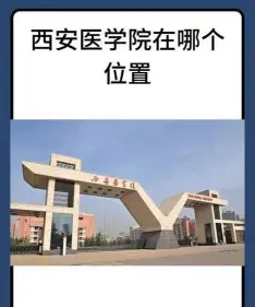 人才