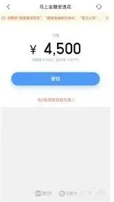 安逸花额度