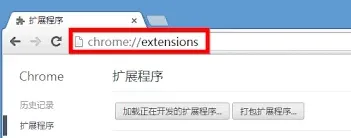 迅雷谷歌浏览器