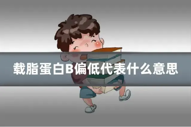 载脂蛋白B偏低代表什么意思