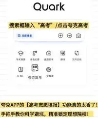 夸克艺术生