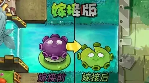 植物大战僵尸忧郁菇