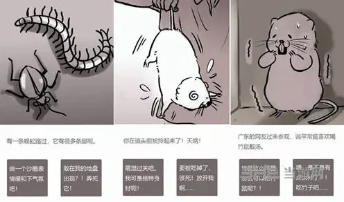 竹鼠活下去靠选择活下去教程