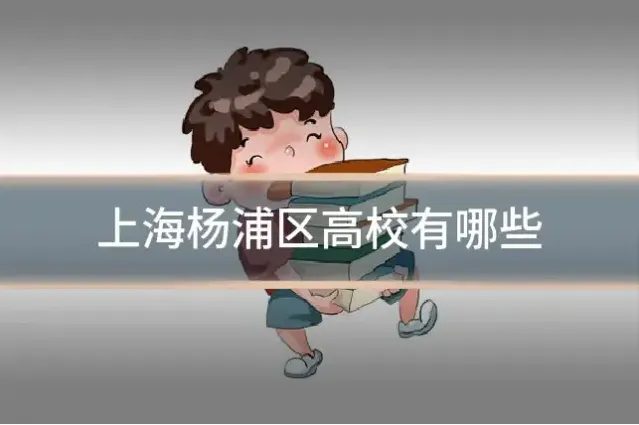 上海杨浦区高校有哪些
