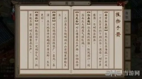 问道马尾松