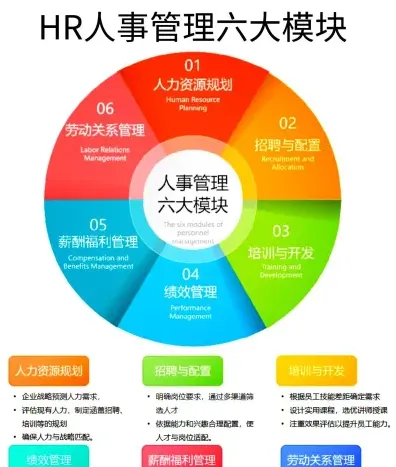 人力资源