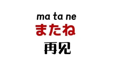再见