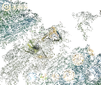 王者荣耀曜技能