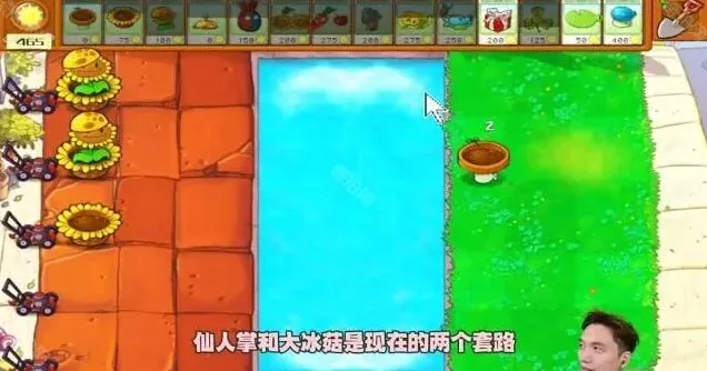 植物大战僵尸杂交