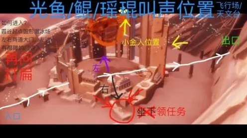光遇收集