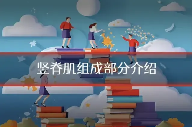 竖脊肌组成部分介绍
