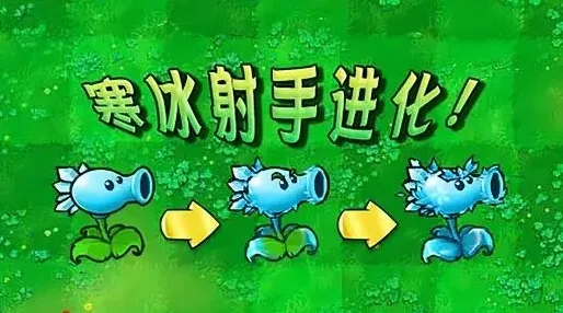 植物大战僵尸寒冰射手