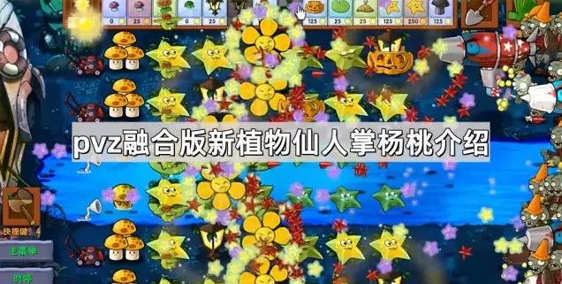 植物大战僵尸杨桃