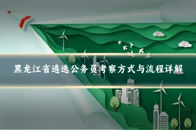 黑龙江省遴选公务员考察方式与流程详解