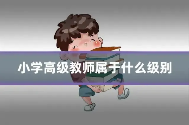 小学高级教师属于什么级别