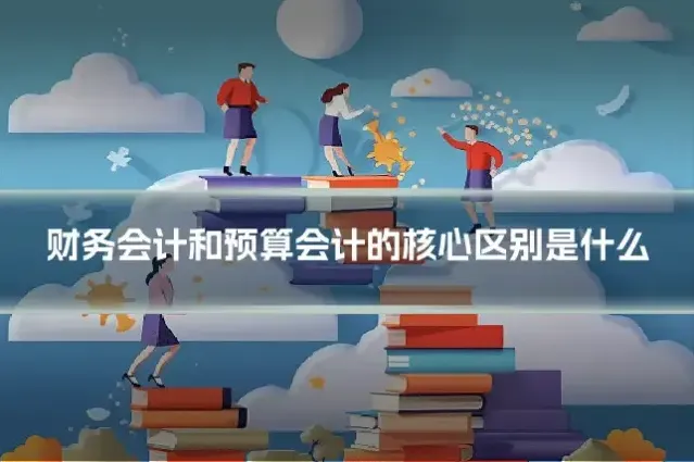 财务会计和预算会计的核心区别是什么