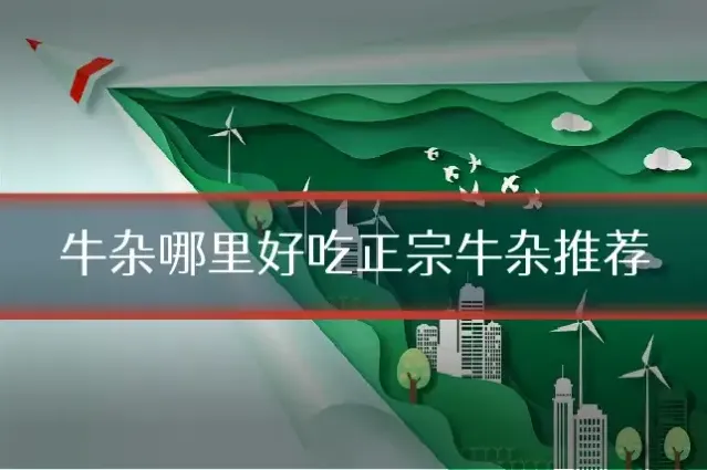 牛杂哪里好吃正宗牛杂推荐