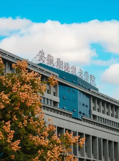 学校