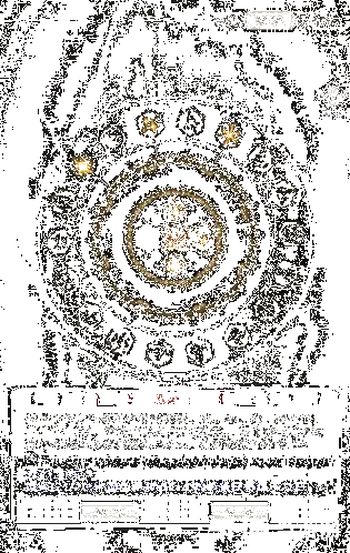 命运选择