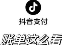 抖音商城消费总金额查看方法指南