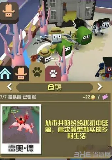 疯狂动物园仓鸮