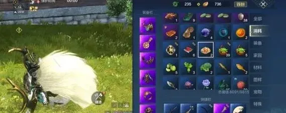 妄想山海长生果