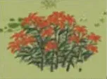 江南百景图途径