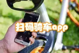 共享单车扫码体验完整对比指南