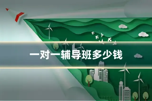 一对一辅导班多少钱